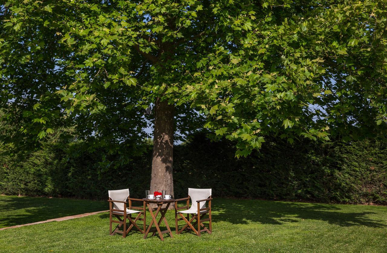 Fragos Garden Studios Kastro-Kyllini Exteriér fotografie